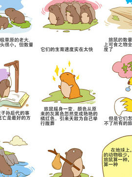 影响你一生的感悟故事十二