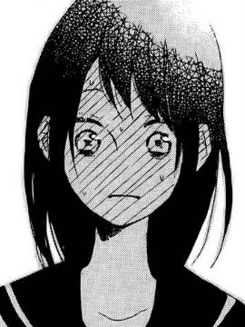 水面上的百合花