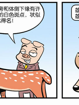 動(dòng)物可笑堂27