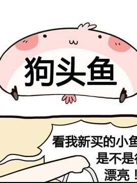 share棒棒日之狗头鱼