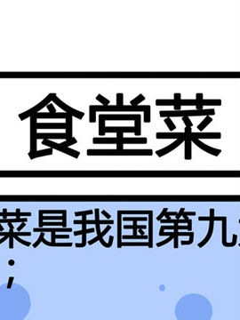 三角动物园十二一