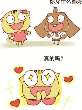 搞怪猫第三辑一