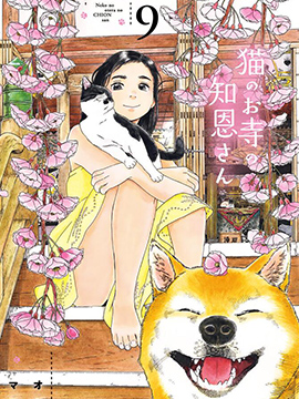 猫之寺的知恩姐