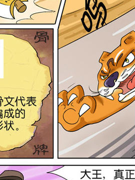 可爱甲骨文三十五