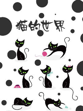 猫的世界