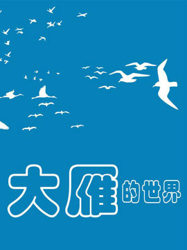 大雁的世界