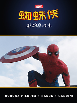 蜘蛛俠英雄歸來(lái)