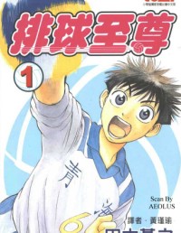 排球至尊