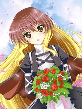 五彩缤纷的，四季白莲！