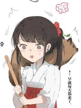 一直投食的狸猫是妖怪狸猫