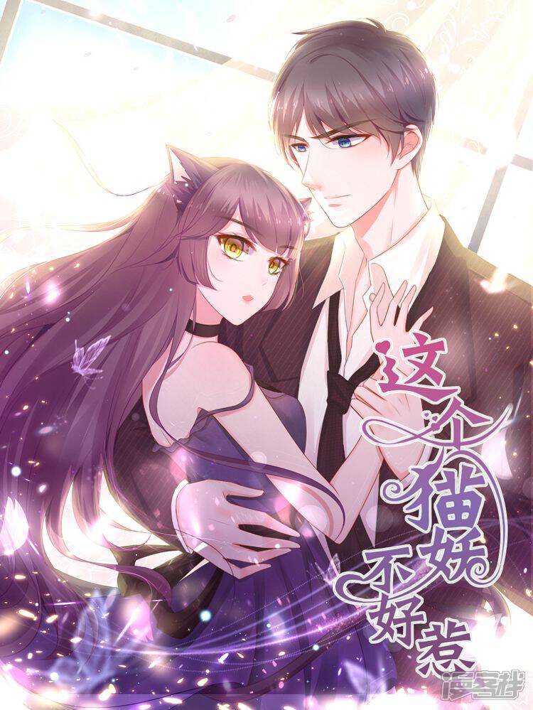 这个猫妖不好惹