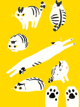 和貓在一起生活的日記 - 