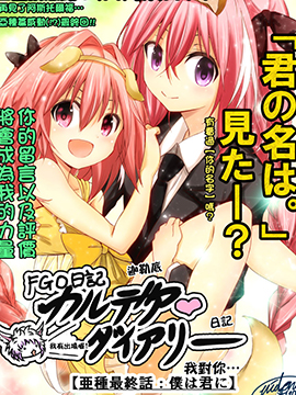 FGO日记 迦勒底日记