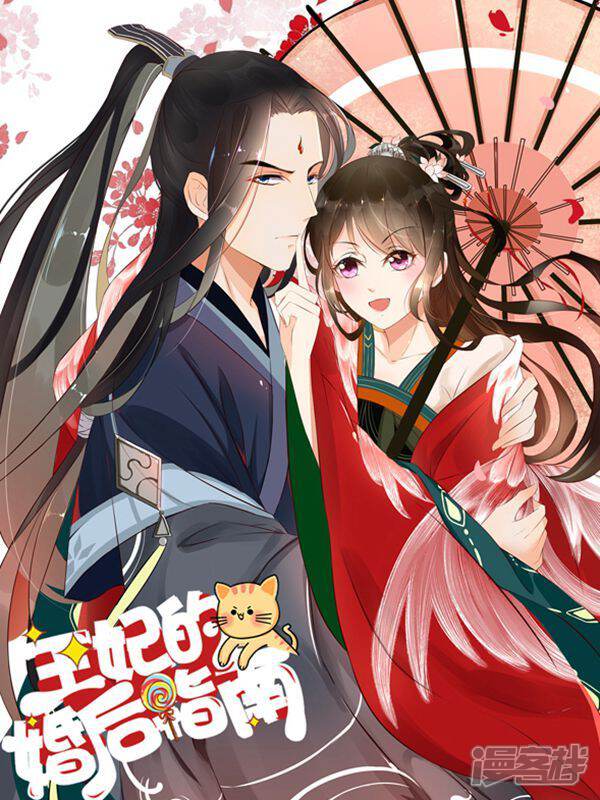 王妃的婚后指南