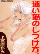 迷路猫咪的饲养方法