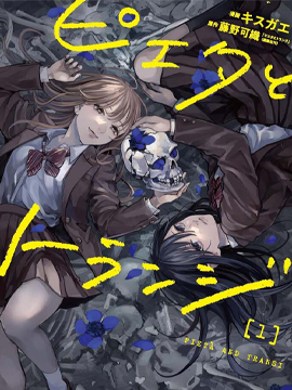 皮埃塔和特兰西