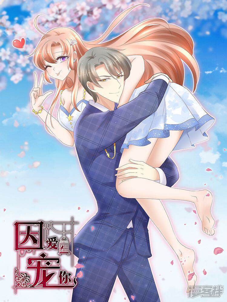 因爱宠你