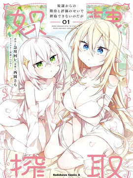 虽然由于关系到奴隶对我的评价而导致我不能压榨她们