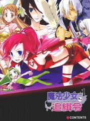 魔法少女追缉令