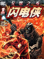 至黑之夜闪电侠