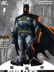 蝙蝠侠黑暗骑士