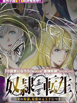 奴隶转生 这奴隶曾是最强王子