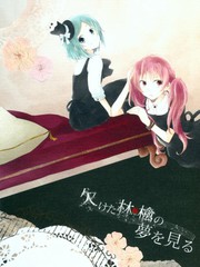 夢見殘缺的蘋果