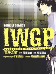 IWGP電子之星