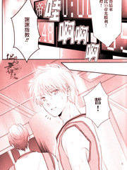 白妙菊不再盛开