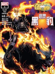 无限扭曲恶灵黑豹