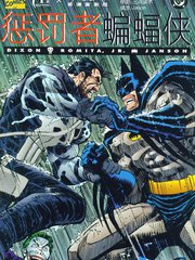 惩罚者蝙蝠侠杀戮骑士