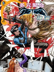 多元聚合夜翼与神谕