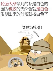 轮胎他祖宗十八代