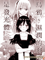 乌鸦，润湿的羽毛是发光体