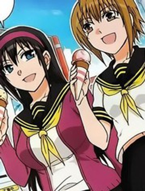 姐姐的妄想日记