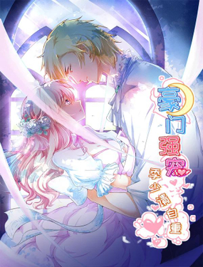 豪门强宠季少请自重