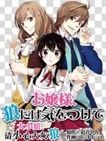 大小姐请小心大灰狼