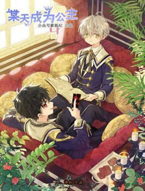 小说版可爱的公主殿下