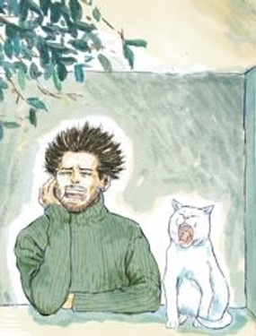 这只猫不太正常