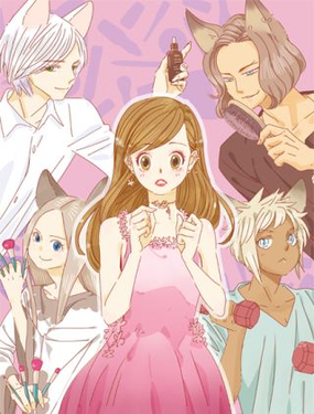 家用貓咪美妝指南