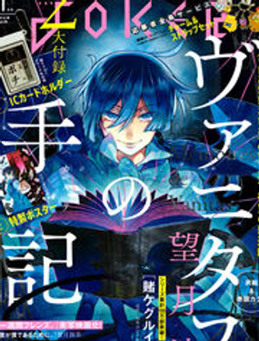 瓦尼塔斯的手记