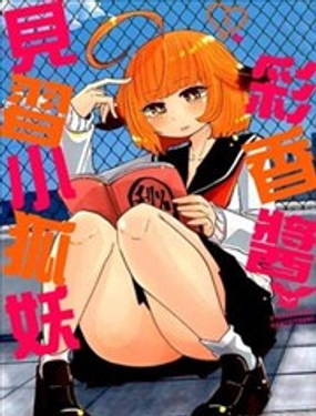 见习狐妖彩香酱