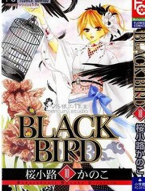 黑鸟恋人(BLACK BIRD)