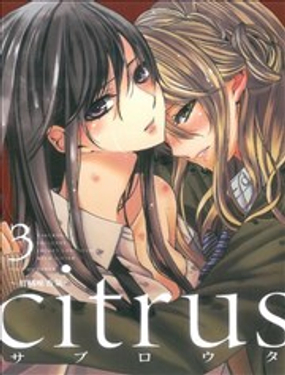 citrus柑橘味香气