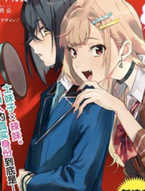 聲優廣播的臺前幕后 - 卷本梅實,二月公