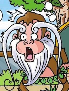 聪明猴与煳涂猴