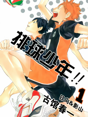 排球少年!!(番外篇)