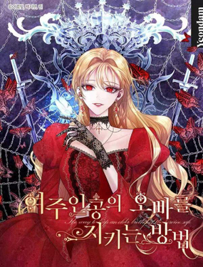 守护女主的哥哥