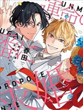 竟然向命运伴侣求婚