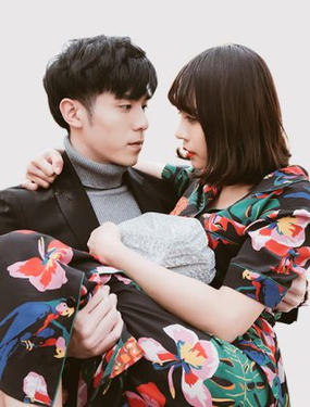 翻墙逃婚萌妻休想跑（真人）